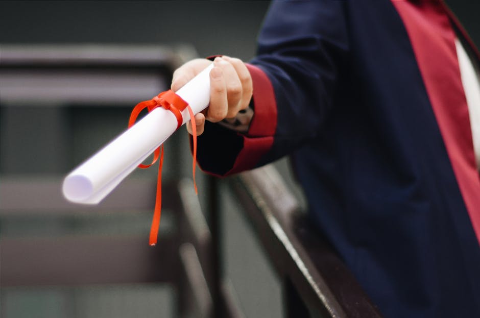 SSL Sertifika Türleri: Hangisi İşletmeniz İçin Uygun?